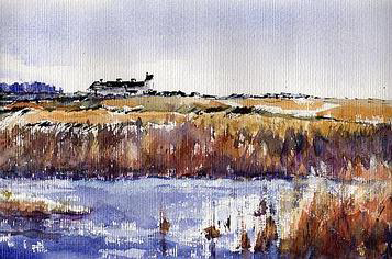 Winter Sunshine at Minsmere